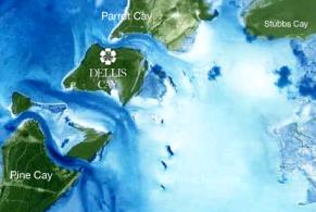Dellis Cay