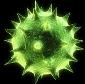Conflicker - new dangerous virus